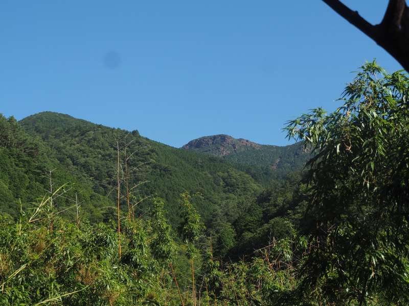 P7230131