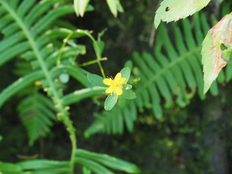 P7230150