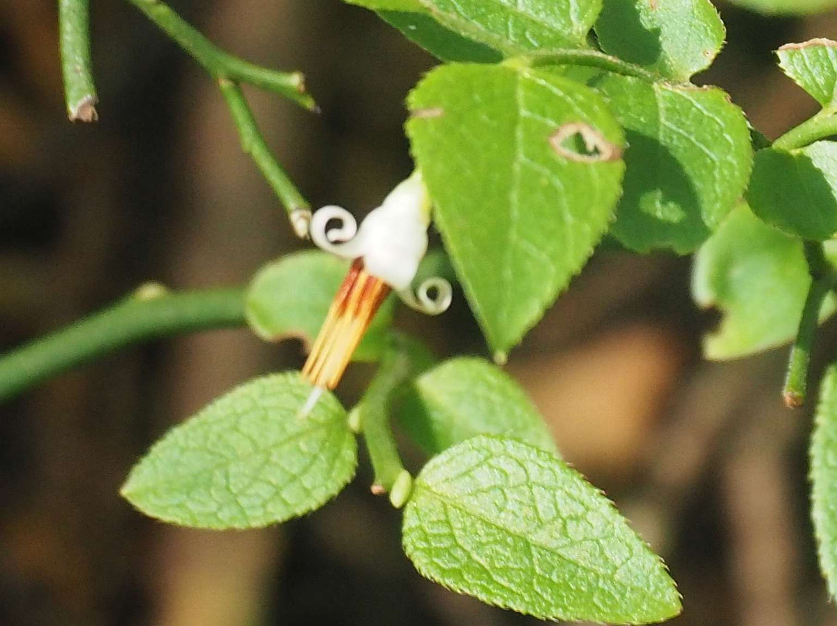 P7230158
