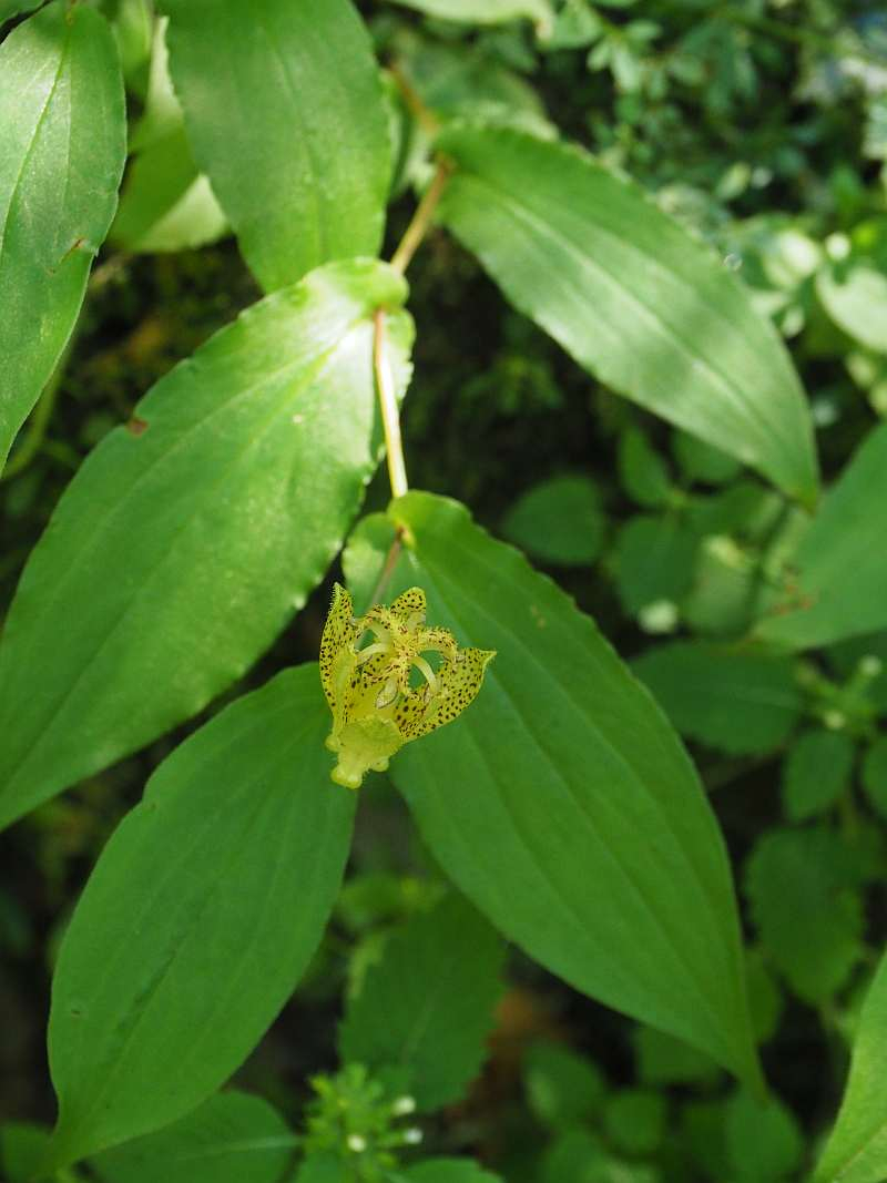 P7230208