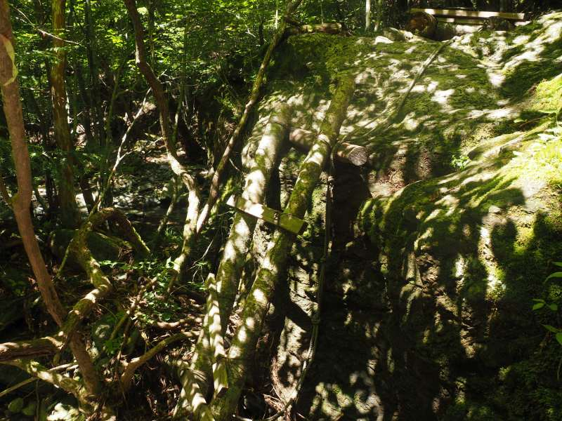 P7230222