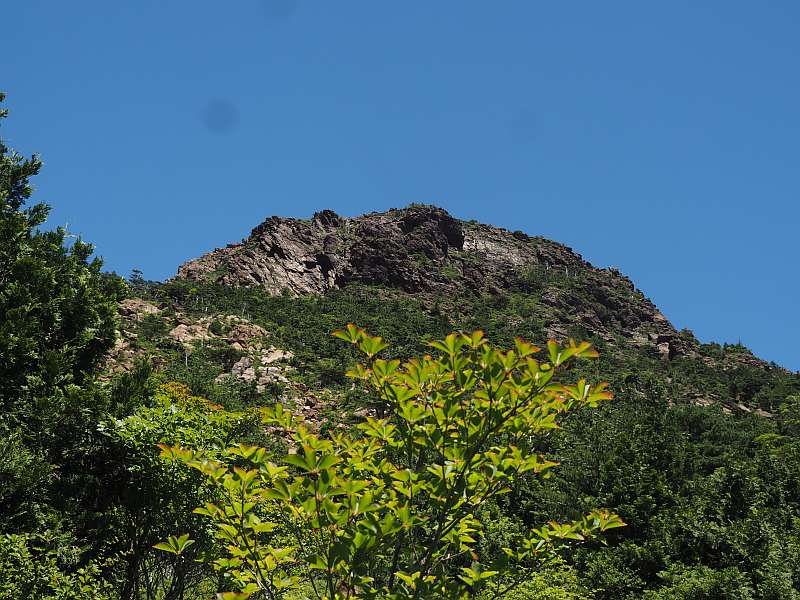 P7230308