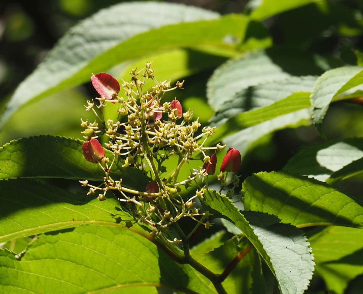 P7230311