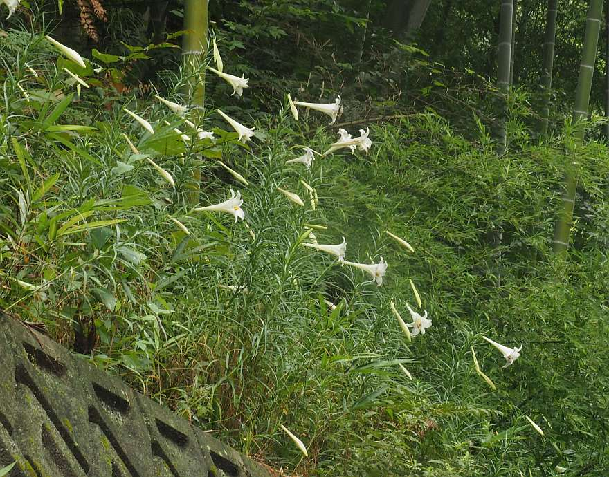 P8101017