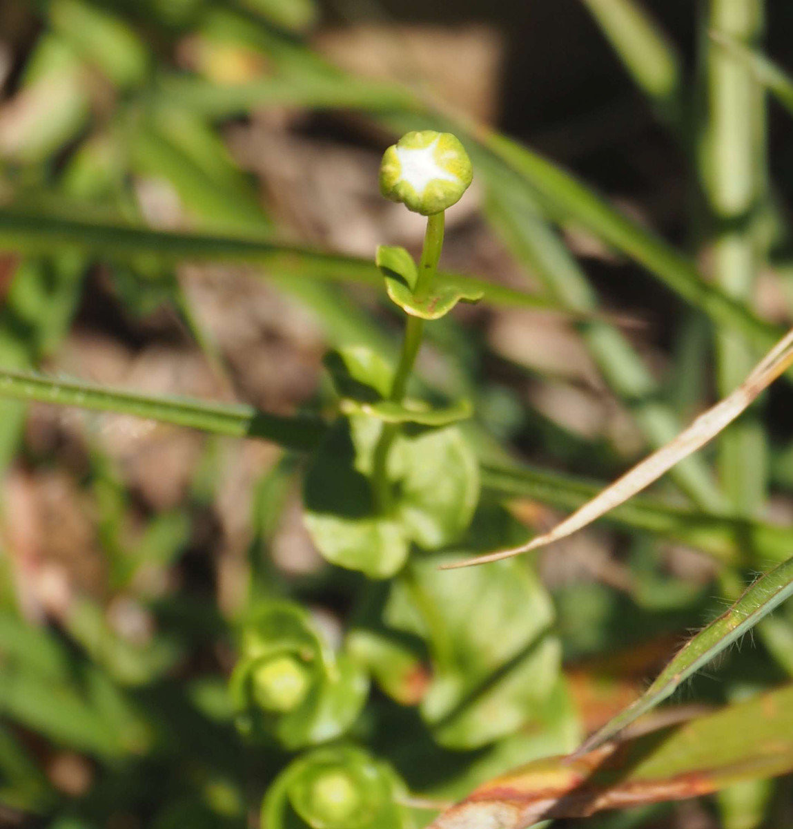 P7230328