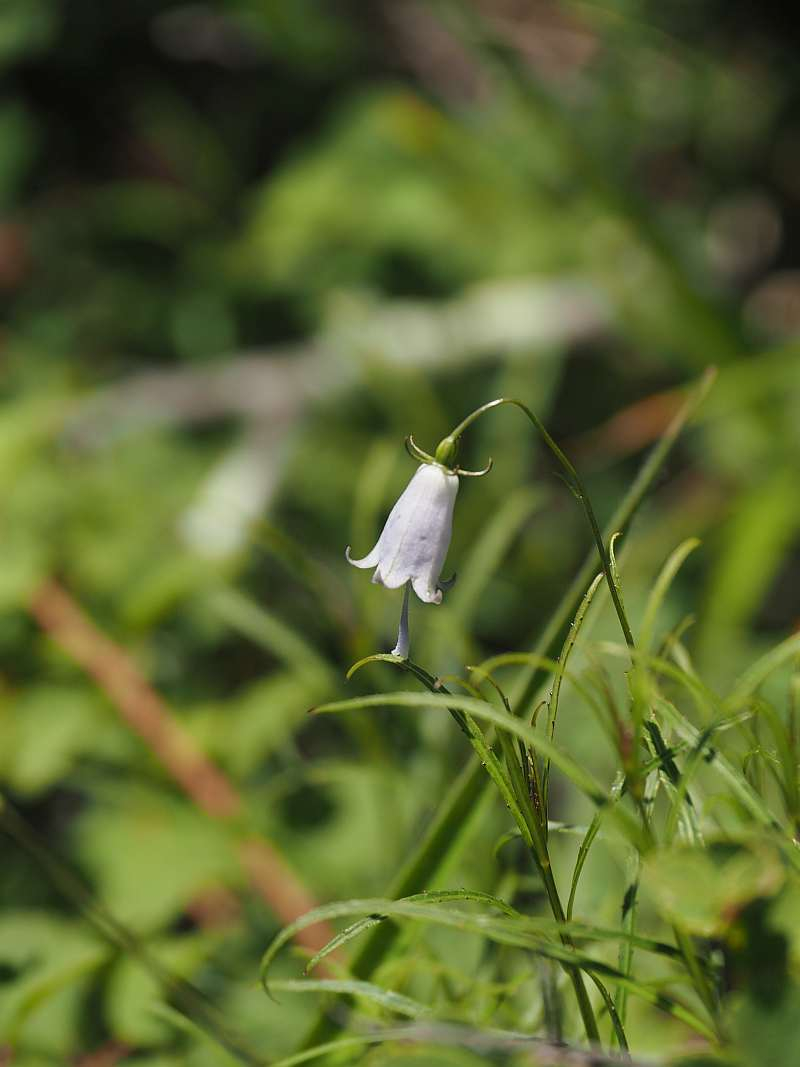 P7230343