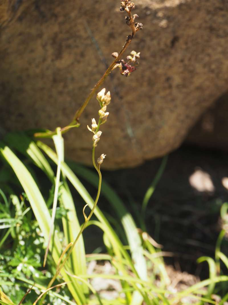 P7230346