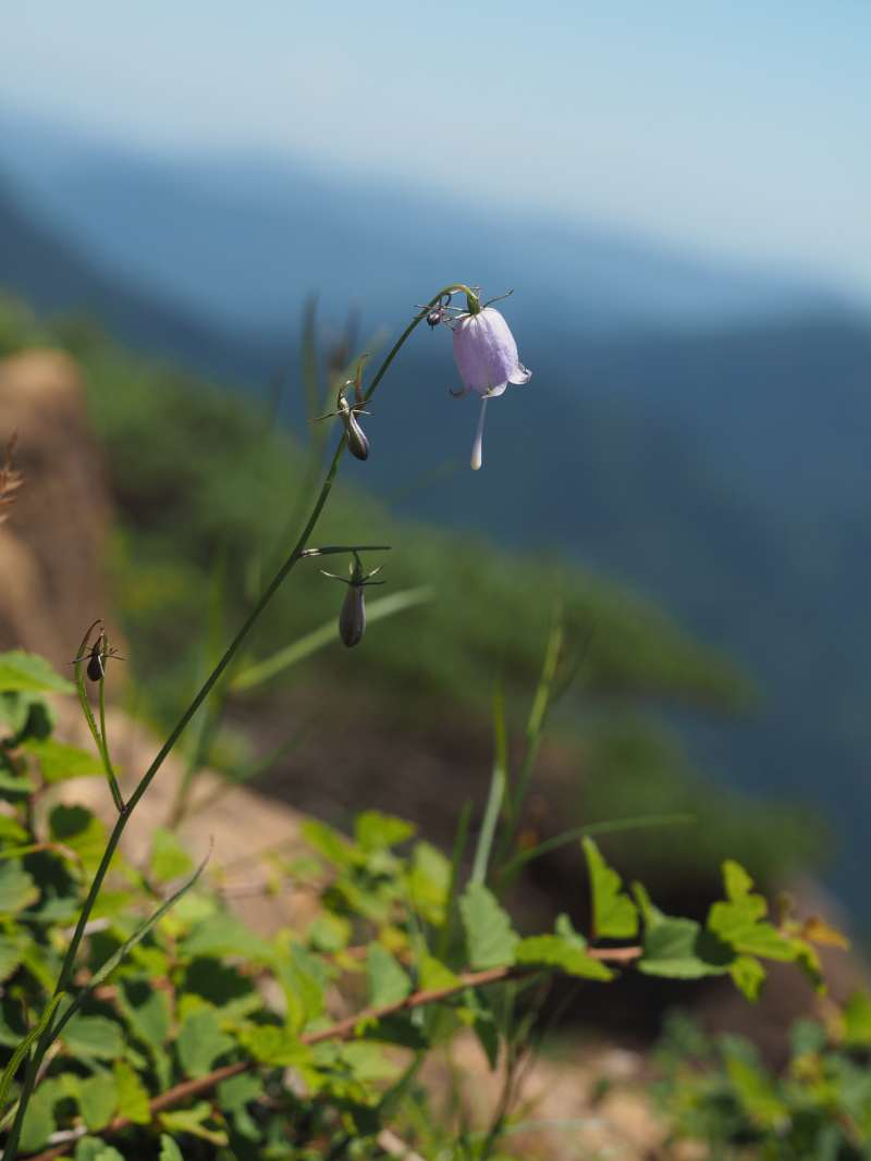 P7230360