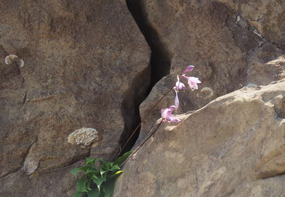 P7230386