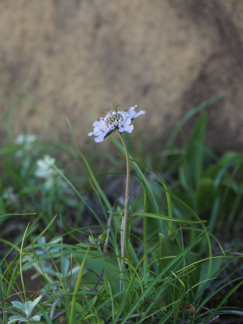 P7230391