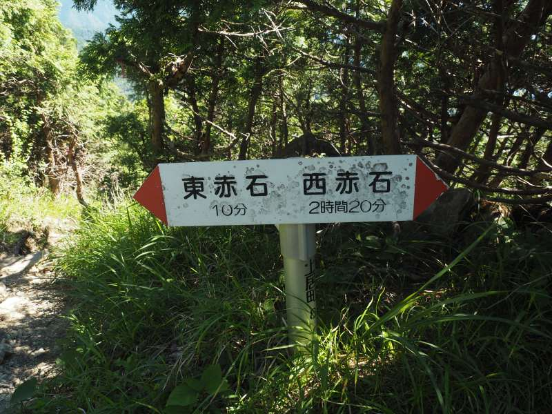 P7230438