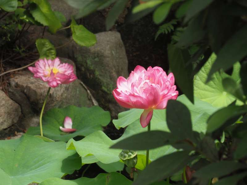 P8121044