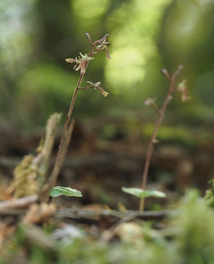 P7230495