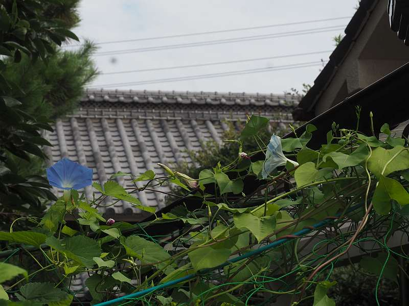 P8131061