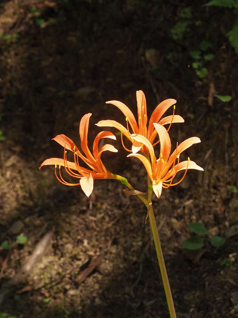 P8060773