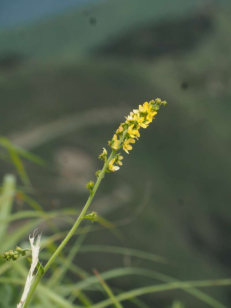 P8060880