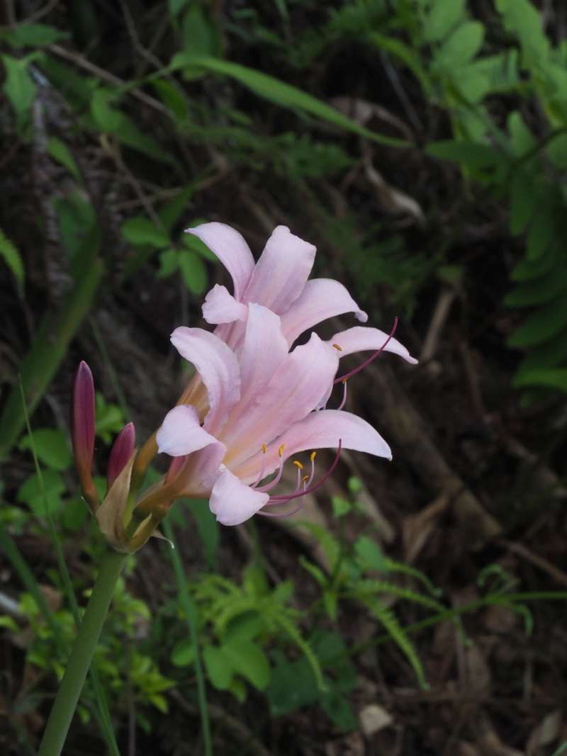 P8060961