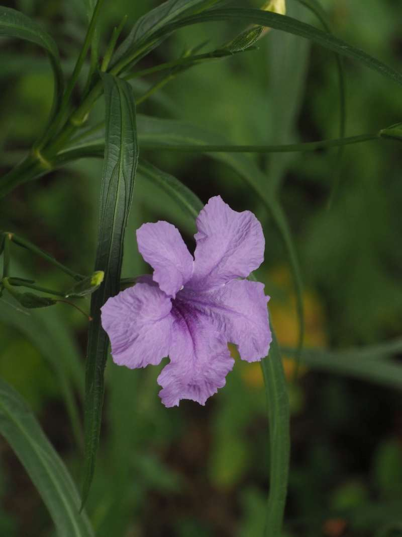 P8231486