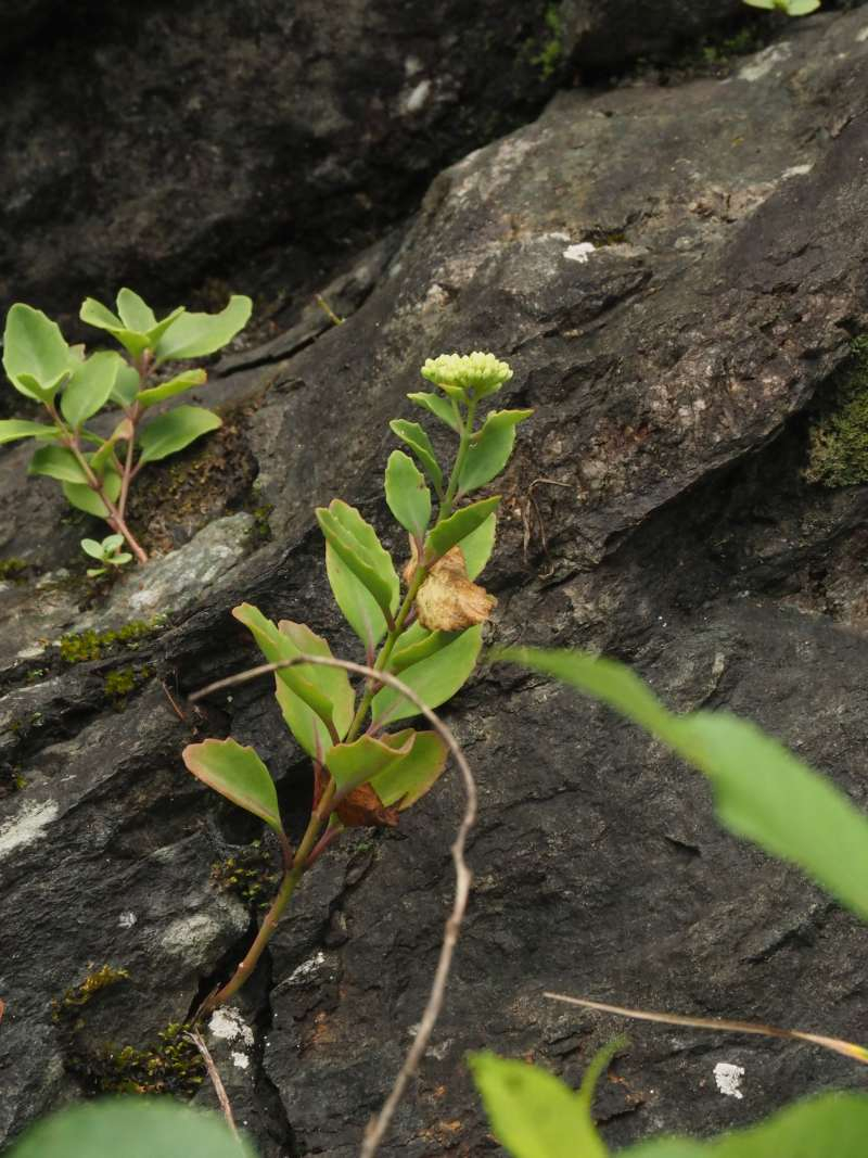 P8211253