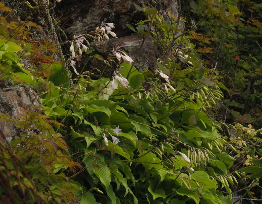 P8211260
