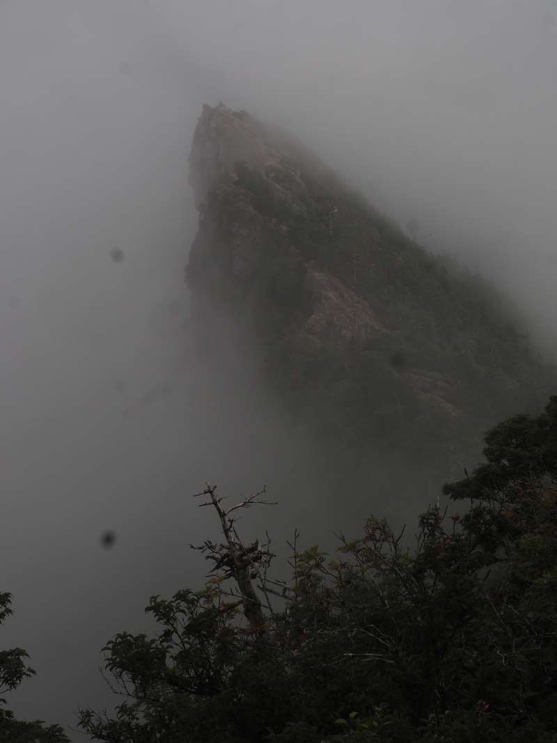 P8211448