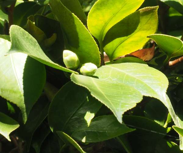 P9021576