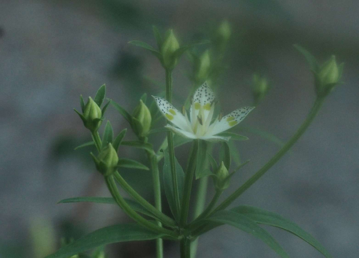 P8301582
