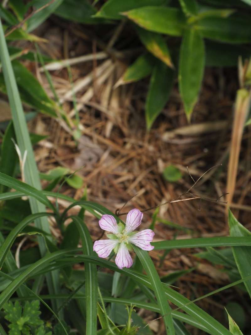 P8301604