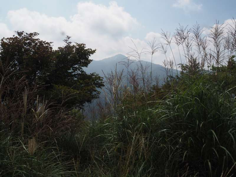 P8301613