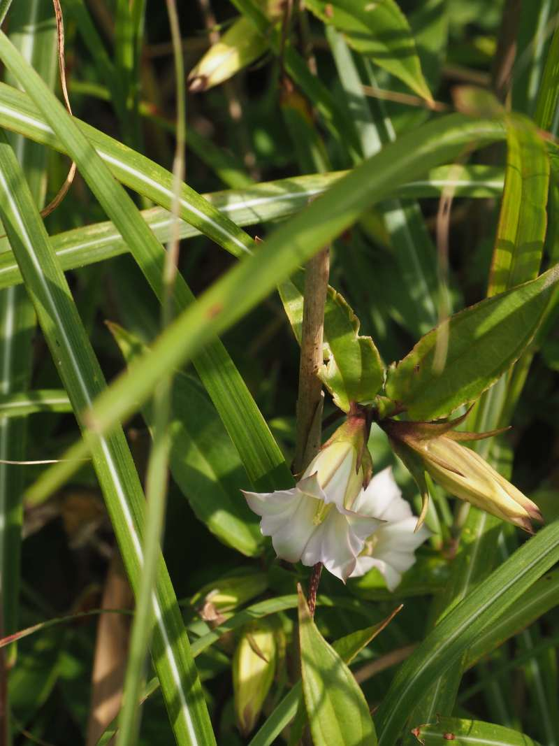 P8301618