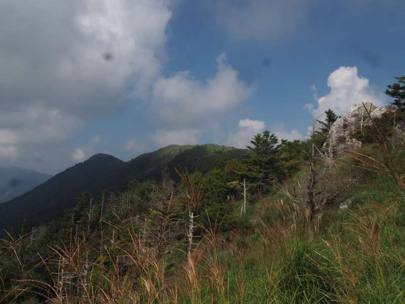 P8301629