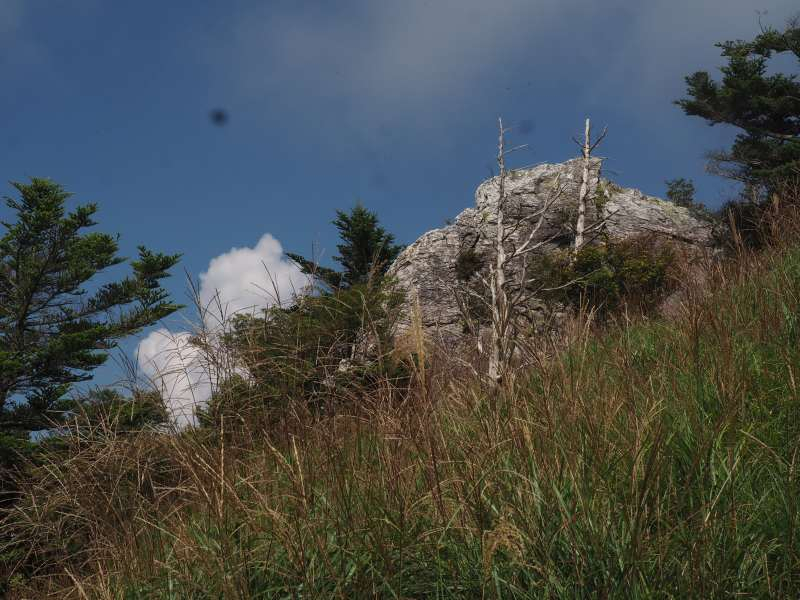 P8301631
