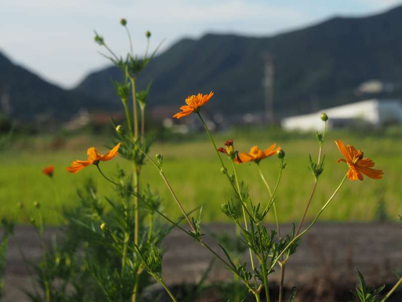 P9091793