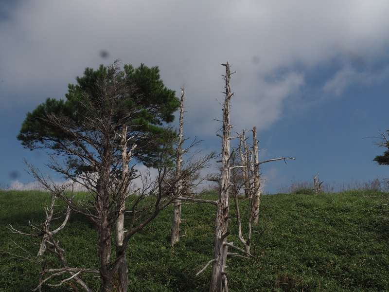 P8301652