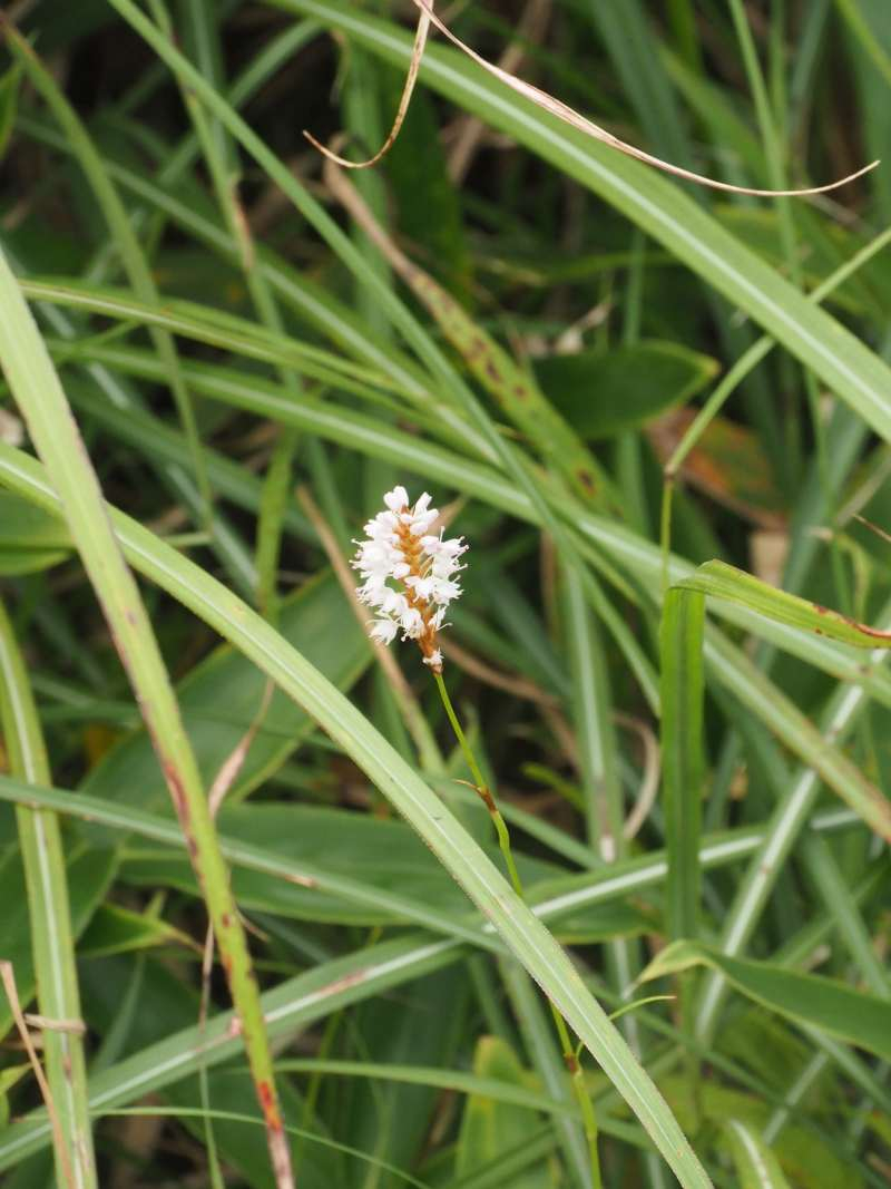 P8301666