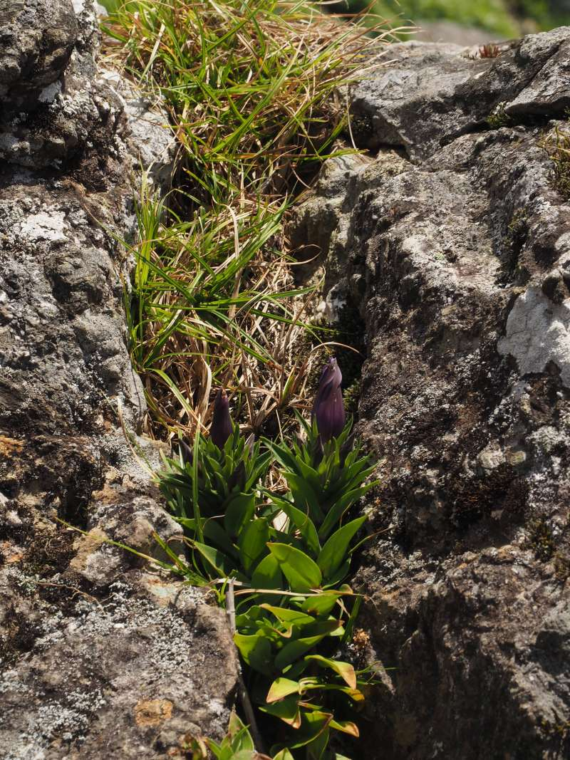 P8301685