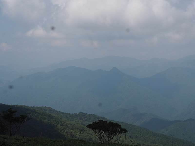 P8301699
