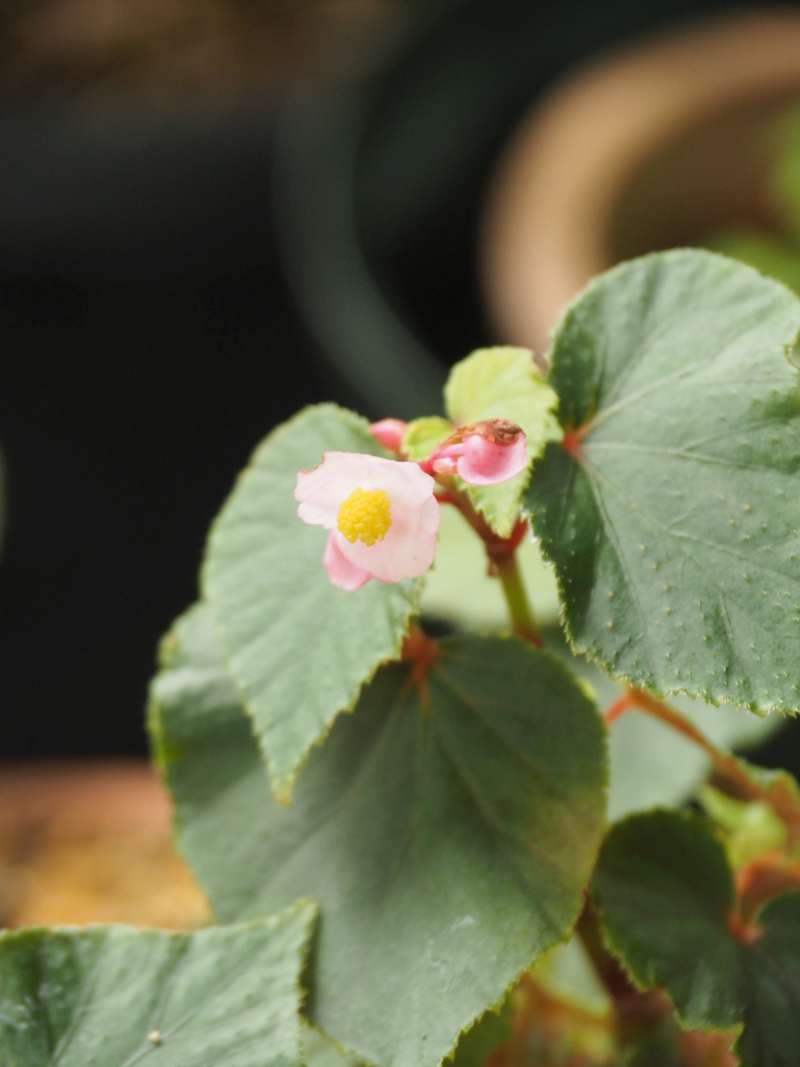 P9121837