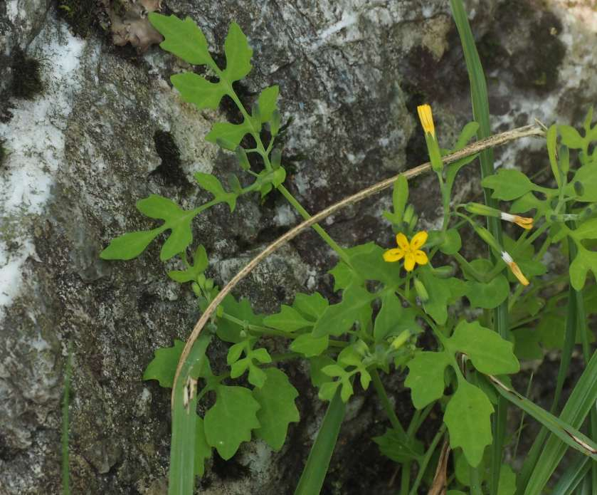 P8301633