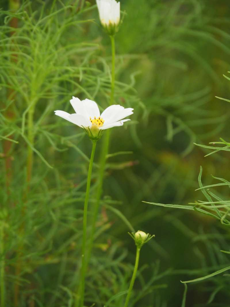 P9162065