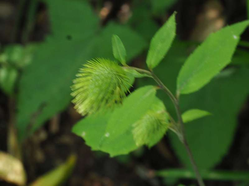 P9061623