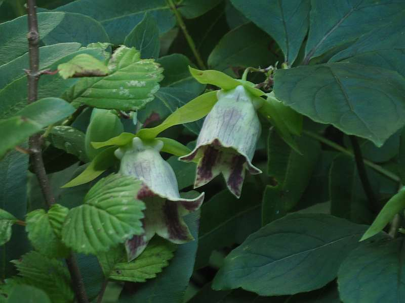 P9061630