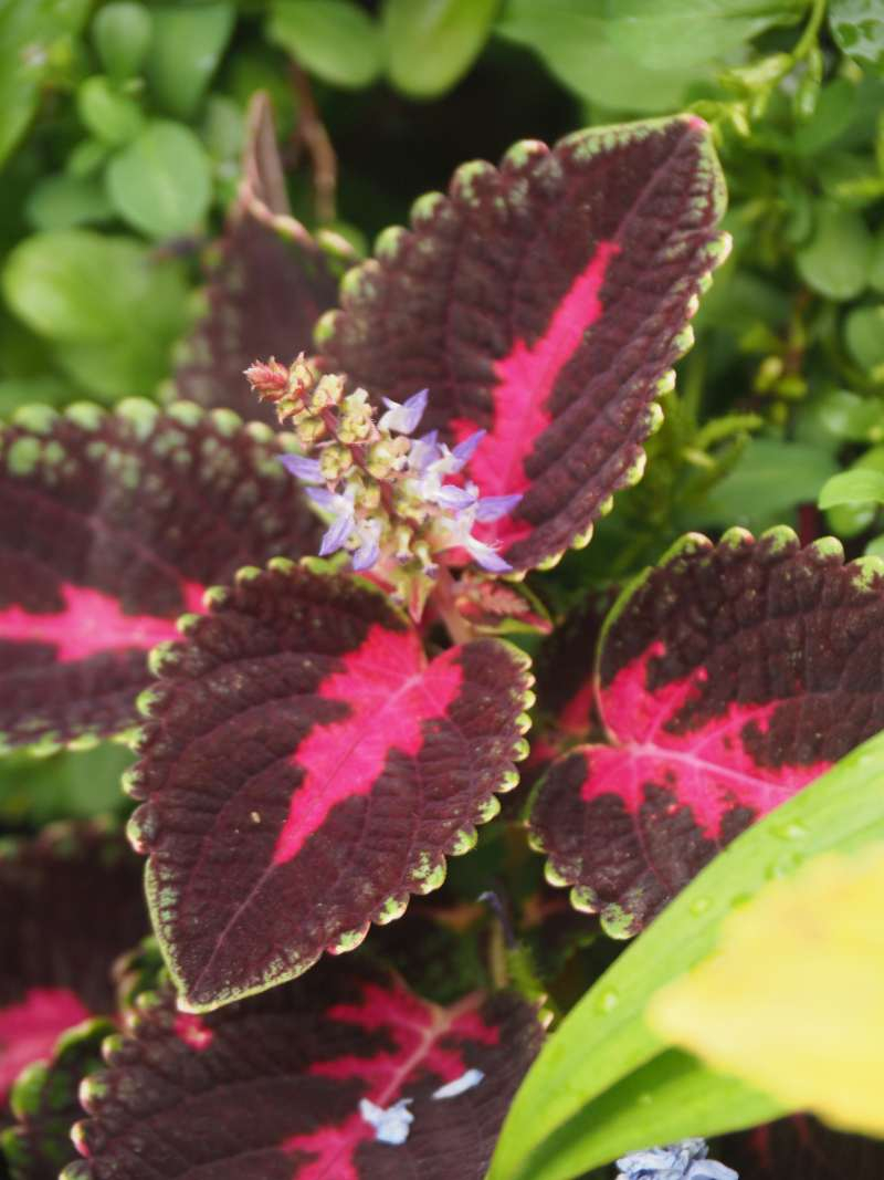 P9172079