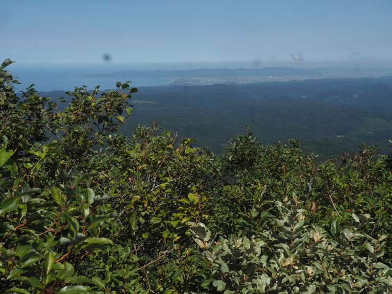 P9061663
