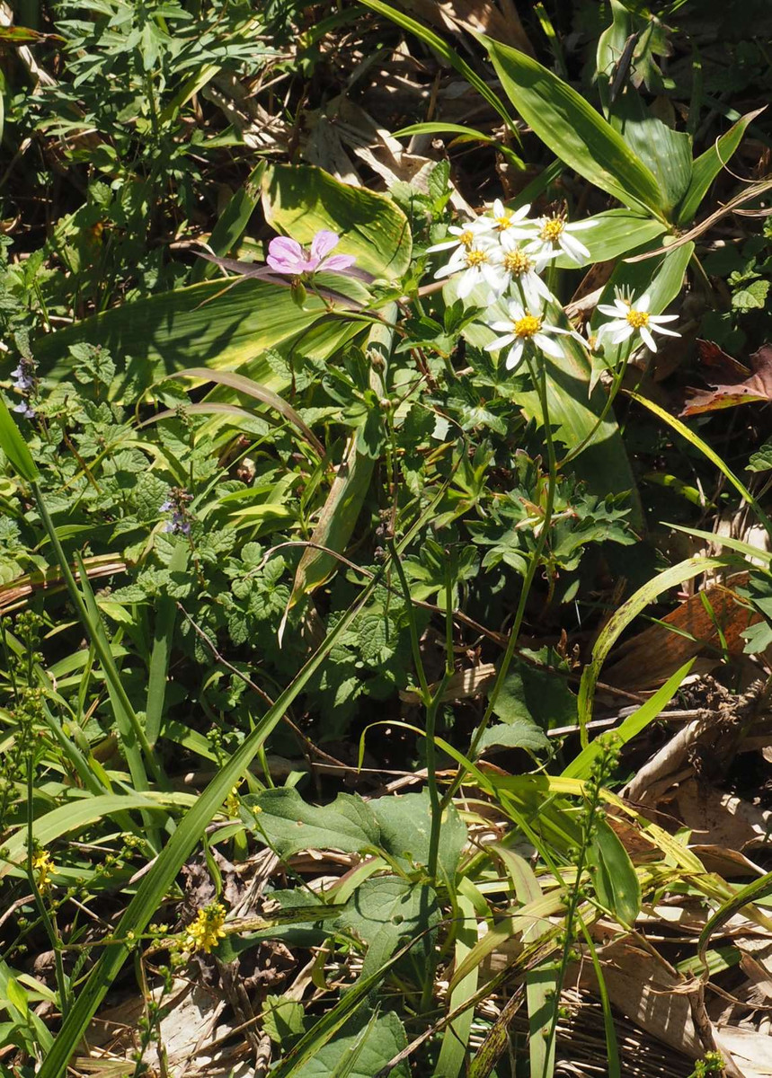 P9061699