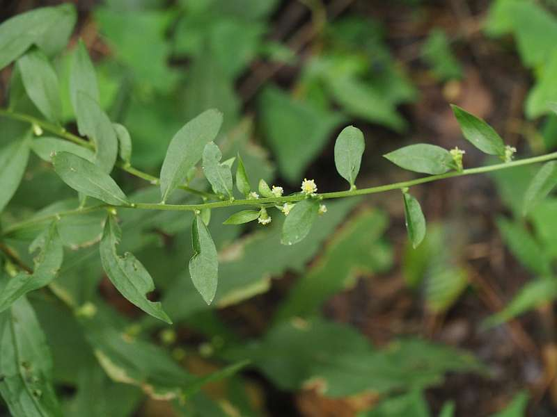 P9131897