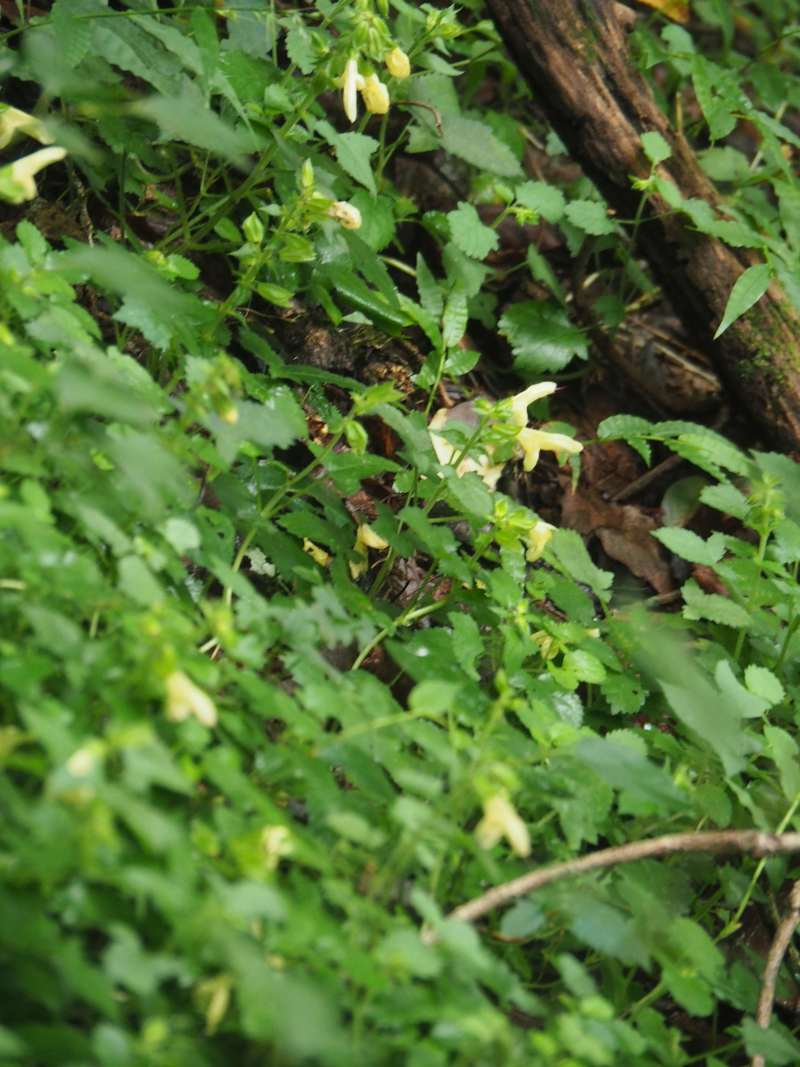 P9131908