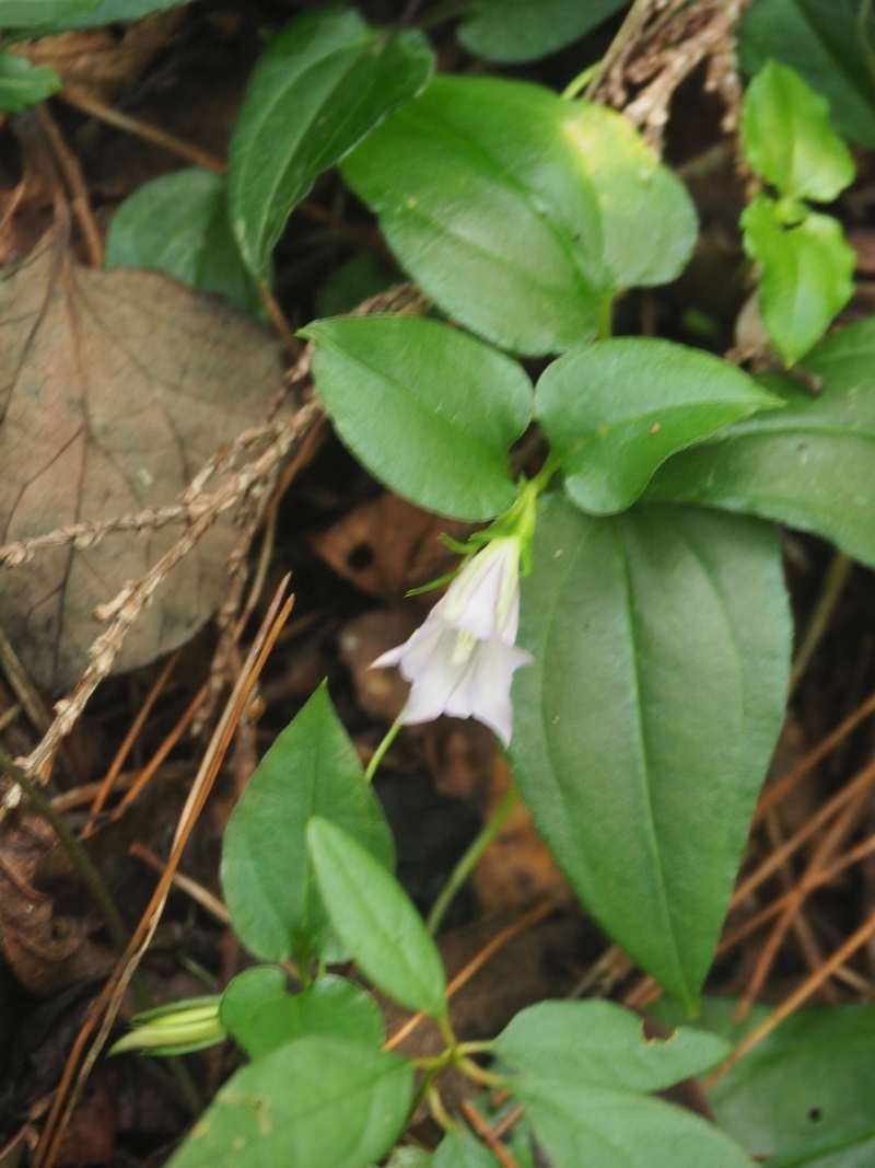 P9131980