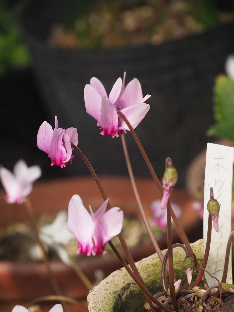 P9302801