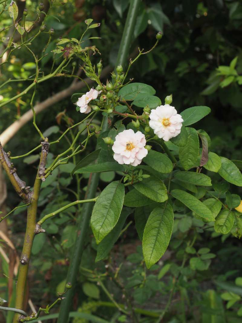 P9302807